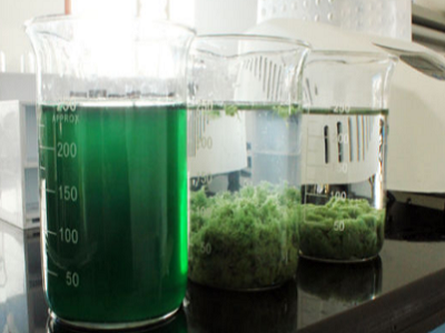 Solid–Liquid Separation