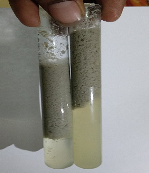 Solid–Liquid Separation