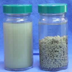 Dewatering